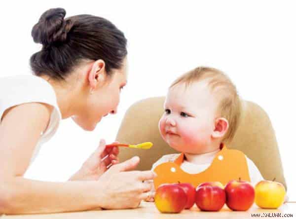 Ăn táo đúng cách để có hiệu quả tốt nhất