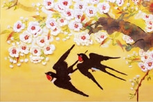 Chim én mùa xuân