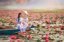 Cảnh giới cao thượng: Tĩnh tâm sinh trí tuệ