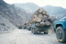 60 năm ĐCSTQ phá hủy môi trường ở Tây Tạng