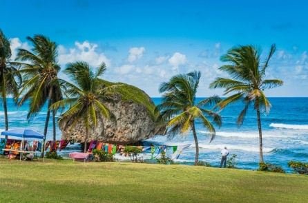 Đảo quốc Barbados xinh đẹp chào mừng du khách đến làm việc từ xa trong 1 năm